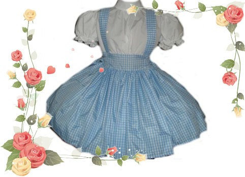blue and white gingham dress dorothy